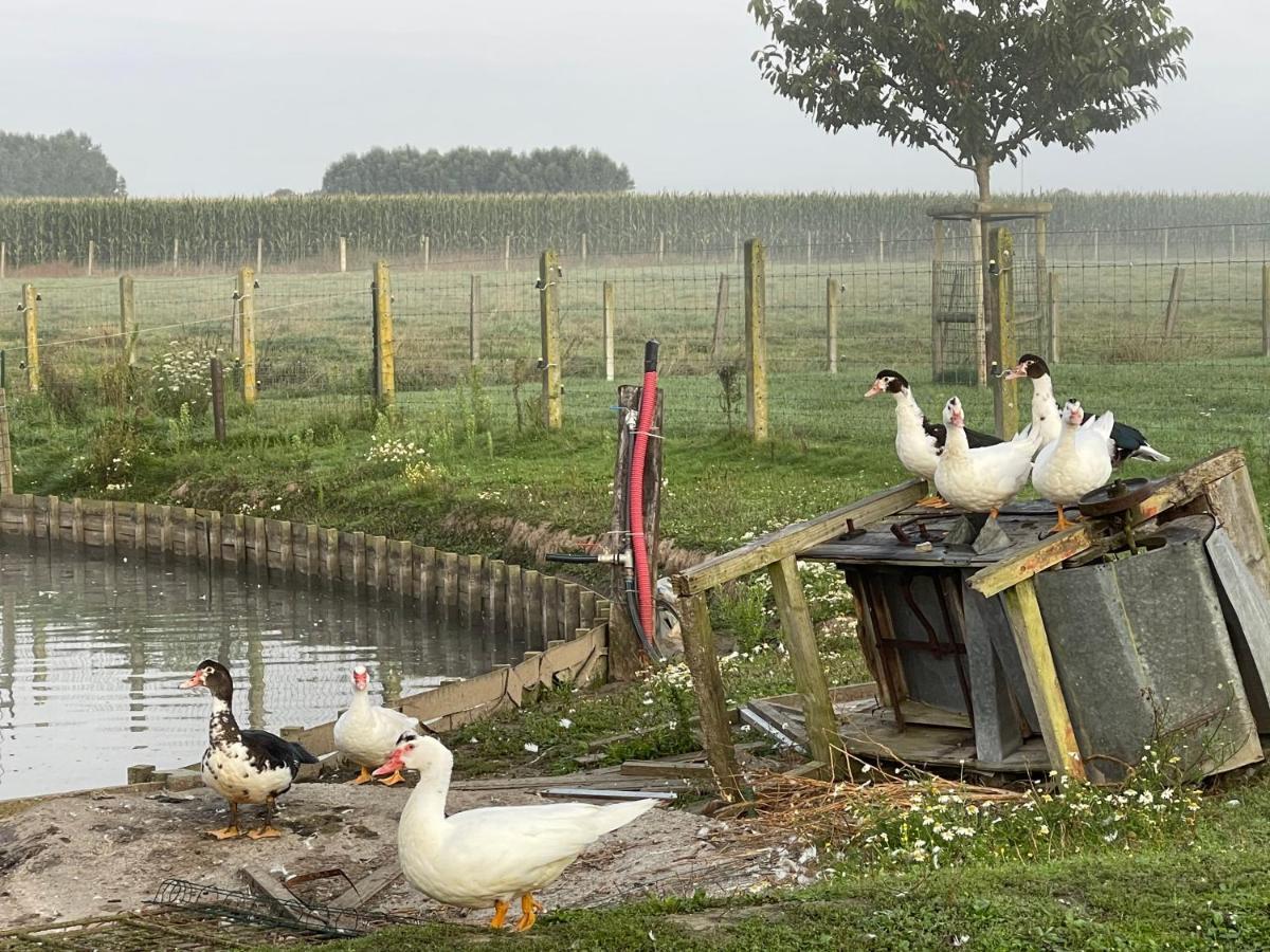 Parel van Bever - Perle de Biévène Exterior foto